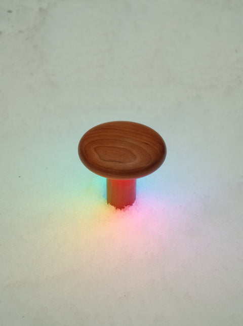 Baobab Lamp