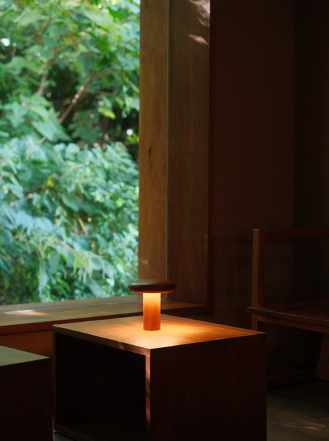 Baobab Lamp