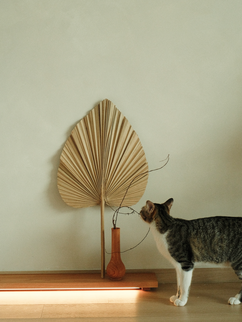 Archive | Display Stand