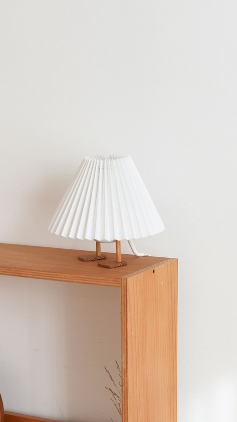 Duck Lamp
