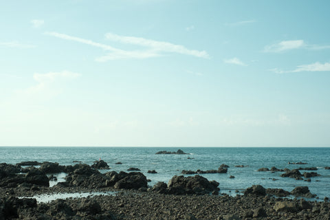 Coastline II