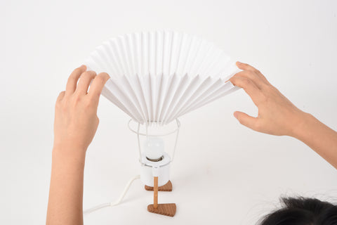 Duck Lamp