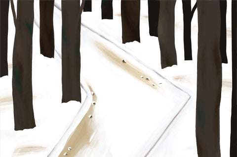 Winter Forest