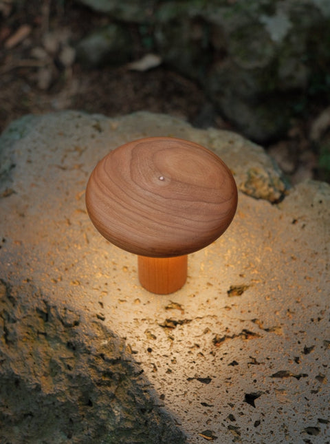 Baobab Lamp
